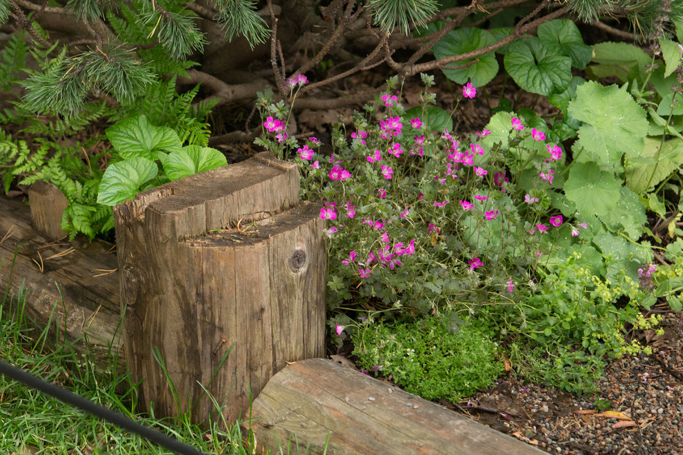 Фотосъёмка сада   Mark  Eveleigh(+Gigi Cameron) на   MoscowFlowerShow2017
