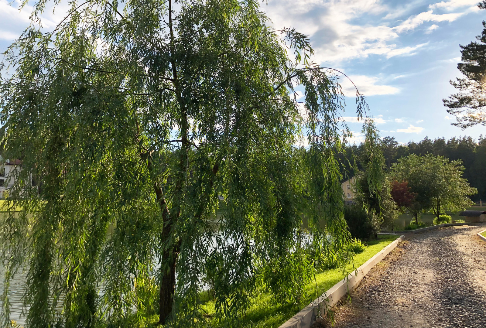 Обложка проекта: Дом у озера