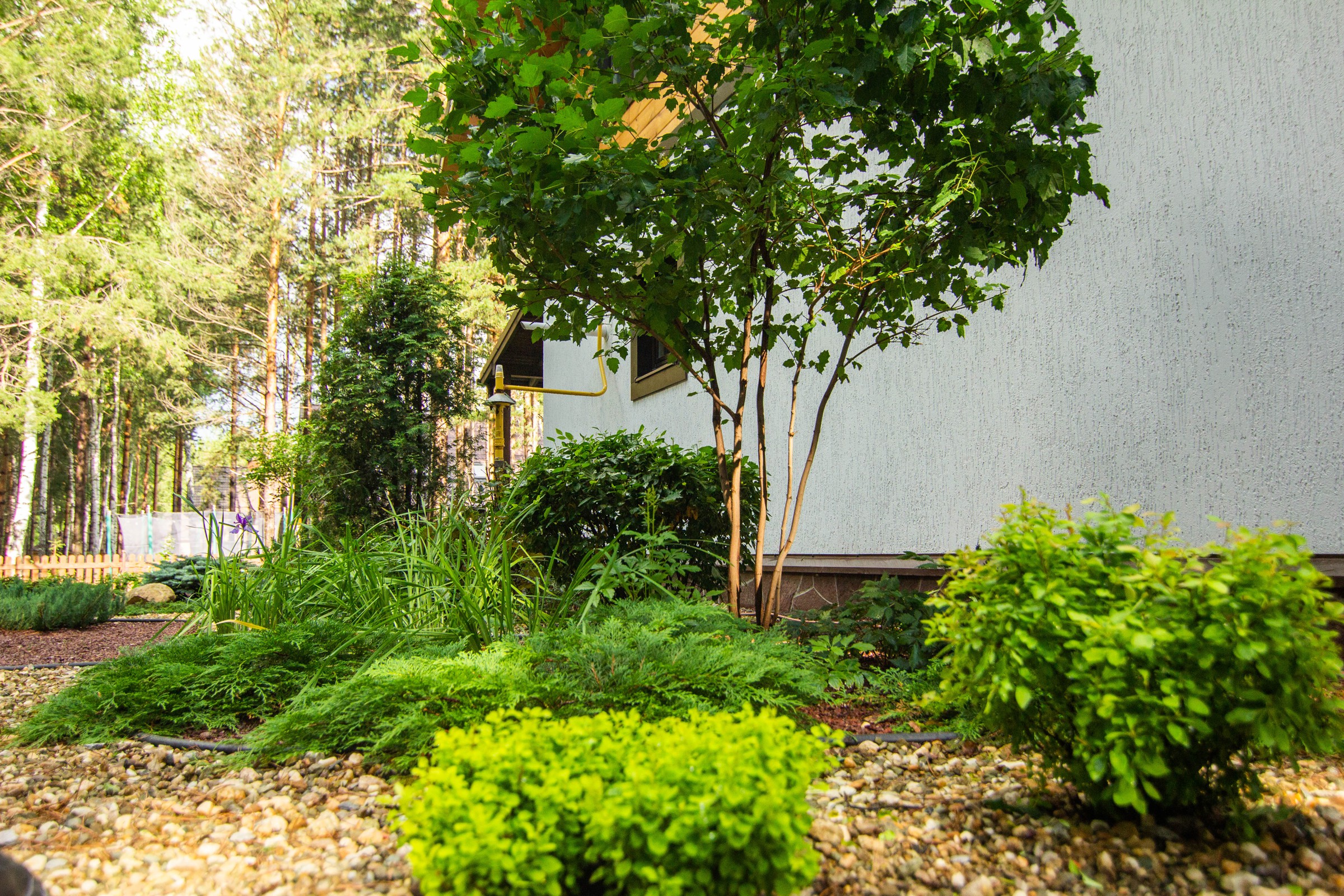 У леса на опушке