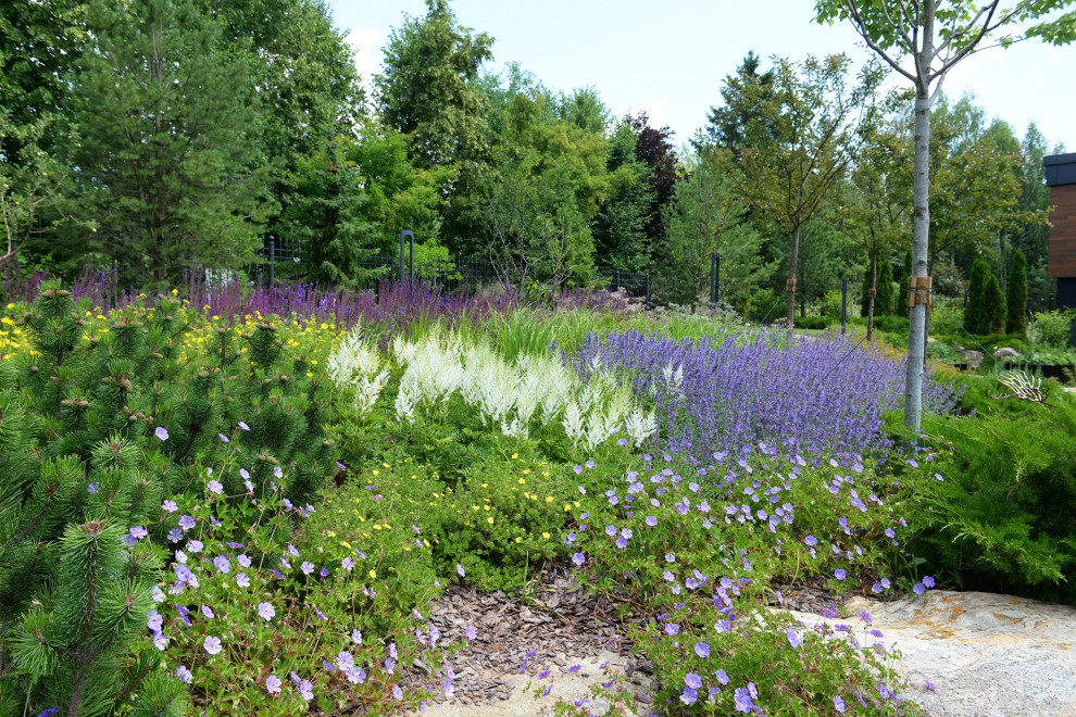 Миллениум парк 2024