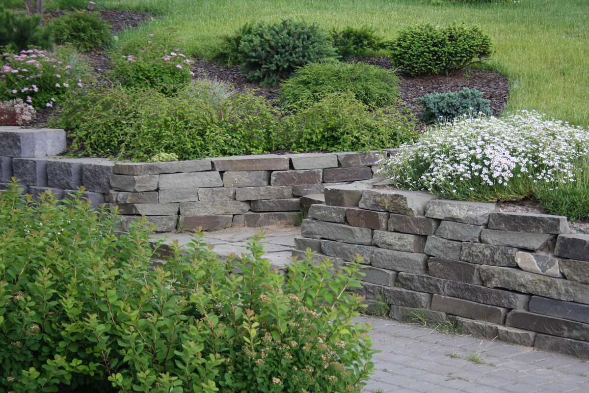 Обложка проекта: Новое Токсово 1