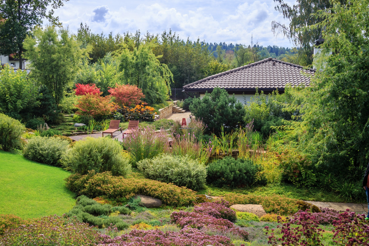 Обложка альбома: Звенигород