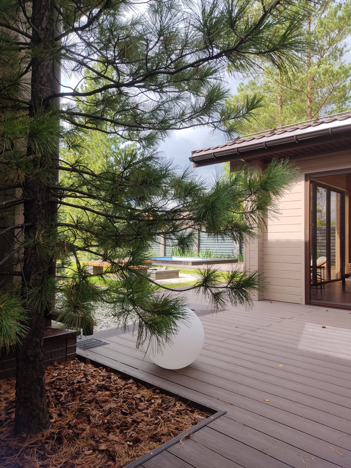 Денис Светлый Яр