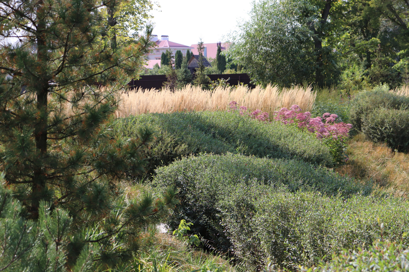 WB Берег пруда (август)