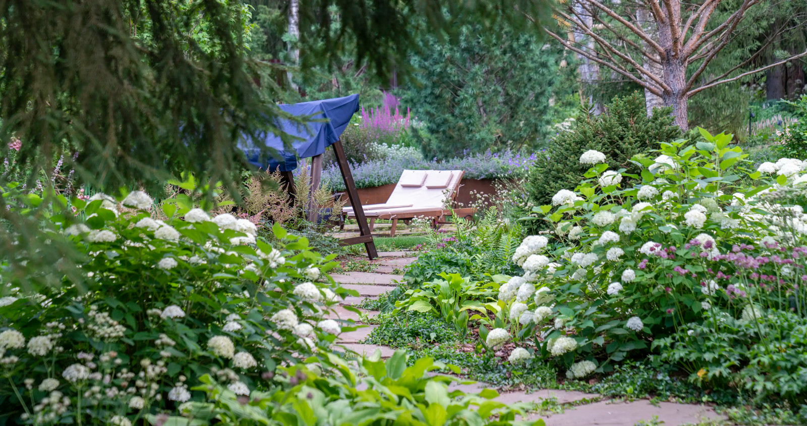 Круговорот цвета. Дубровка 2021