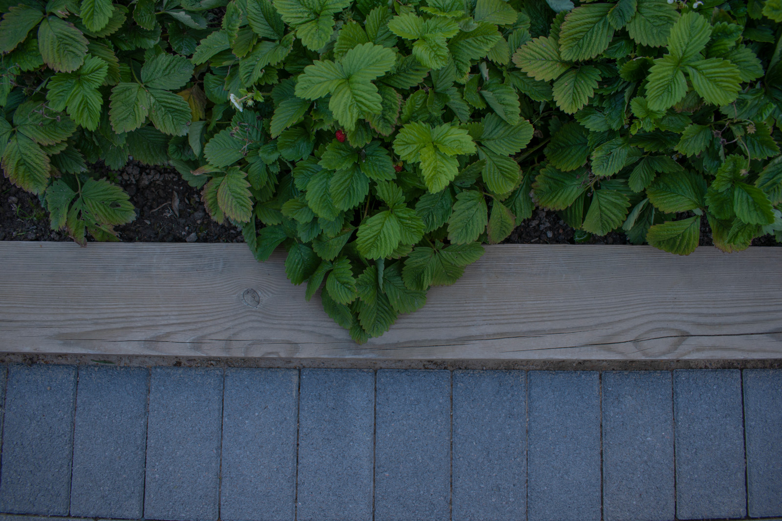 Реализация проекта частного участка в Репино