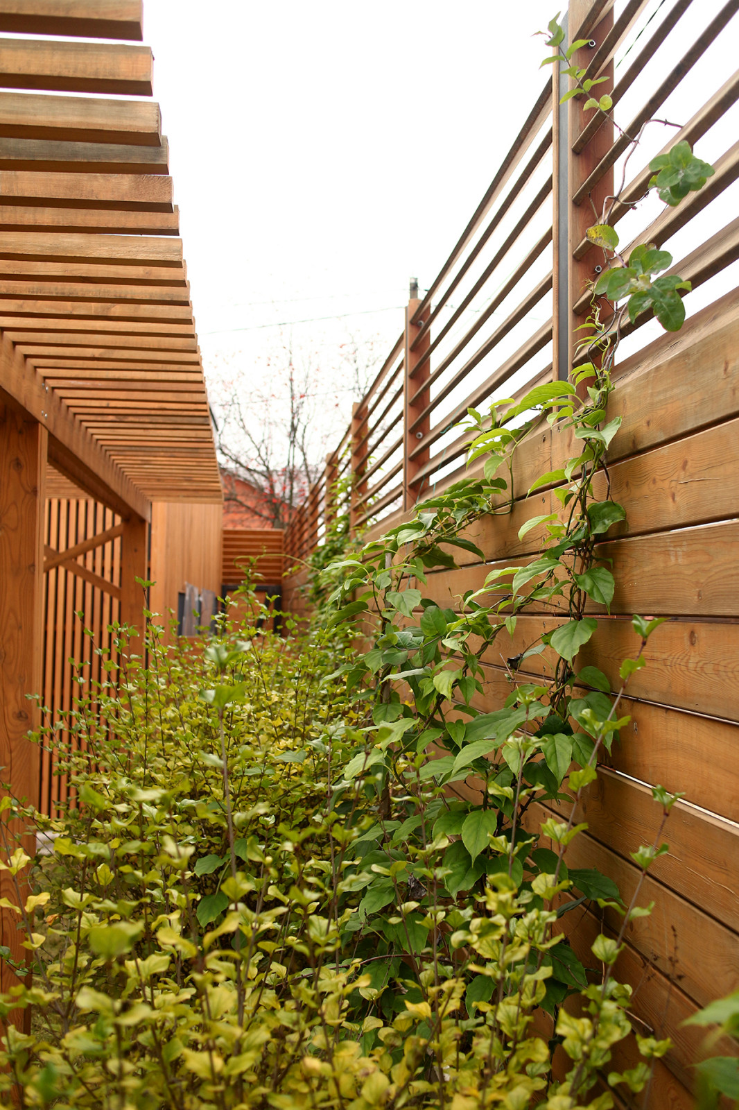 Фрагмент участка