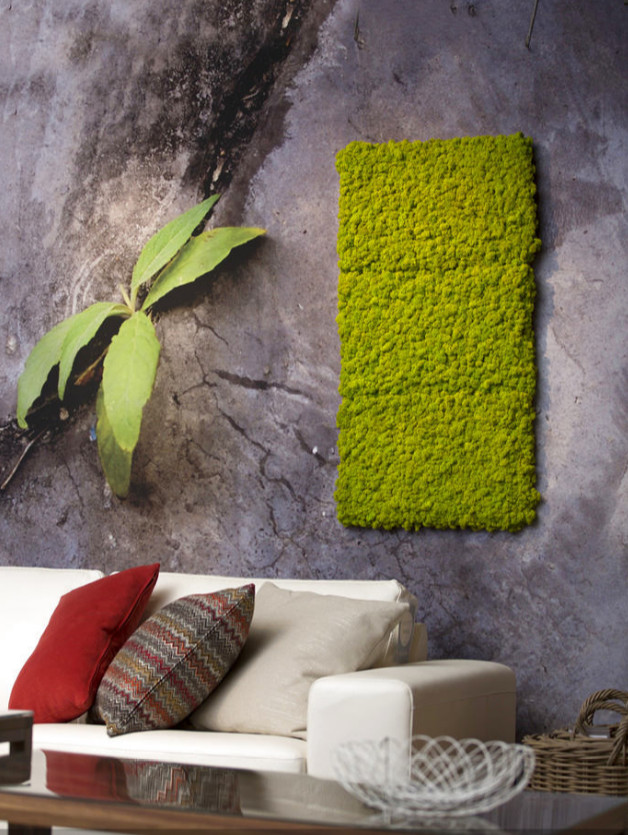 Мох в интерьере