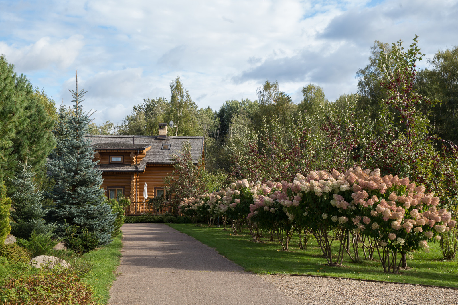 Парк в  Шаховском районе