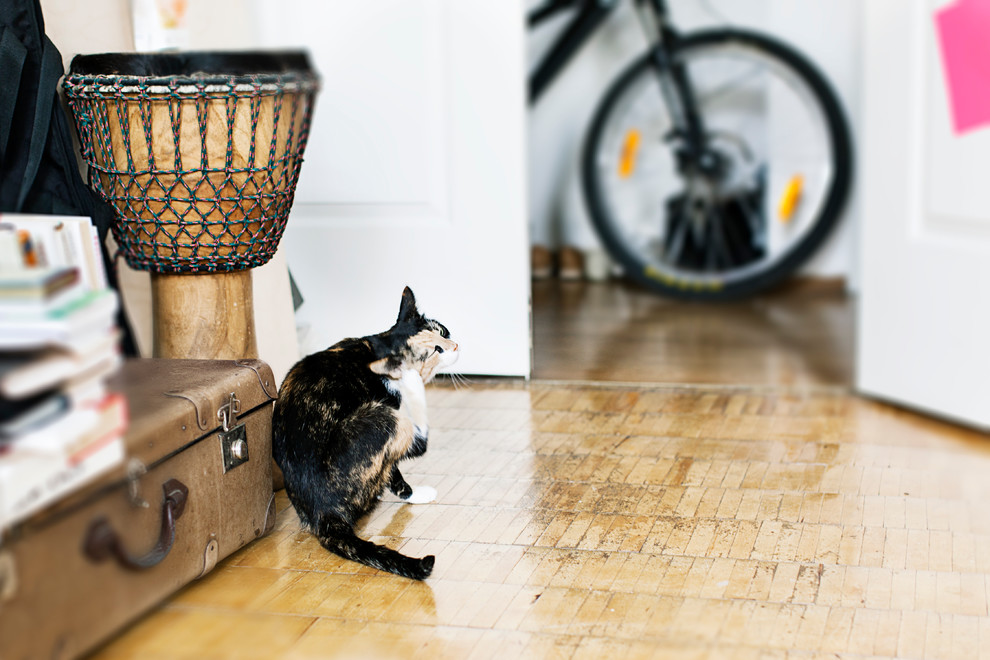 Одна комната: Как жить комфортно, если вы арендуете часть квартиры