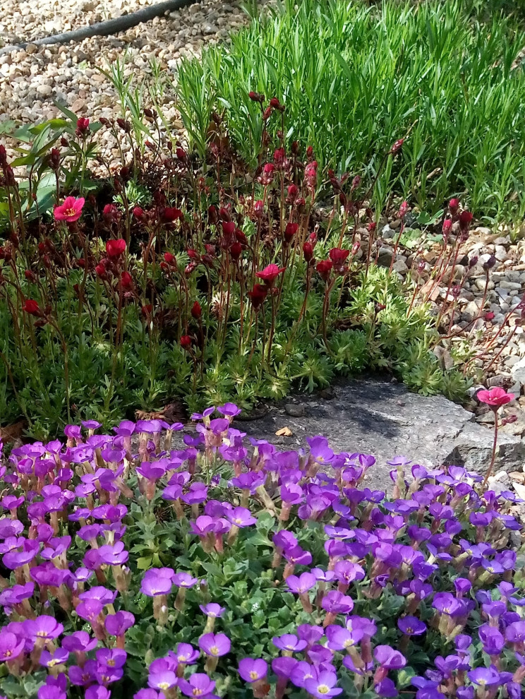 Сад в Рожновке