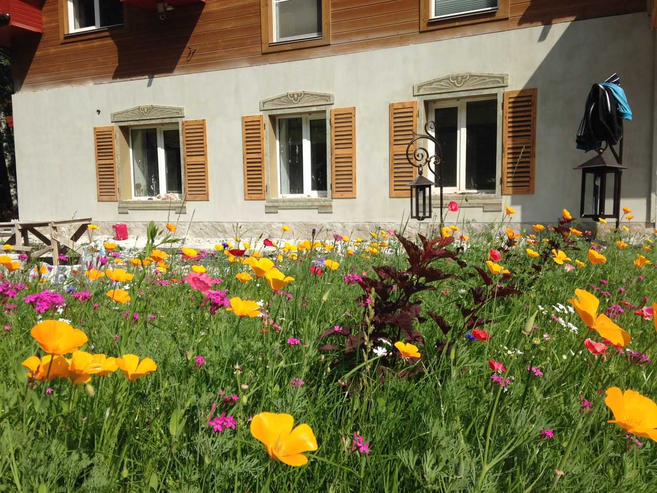 Обложка проекта: озеленение частной территории