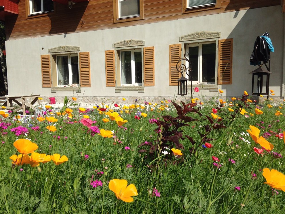 Обложка проекта: озеленение частной территории