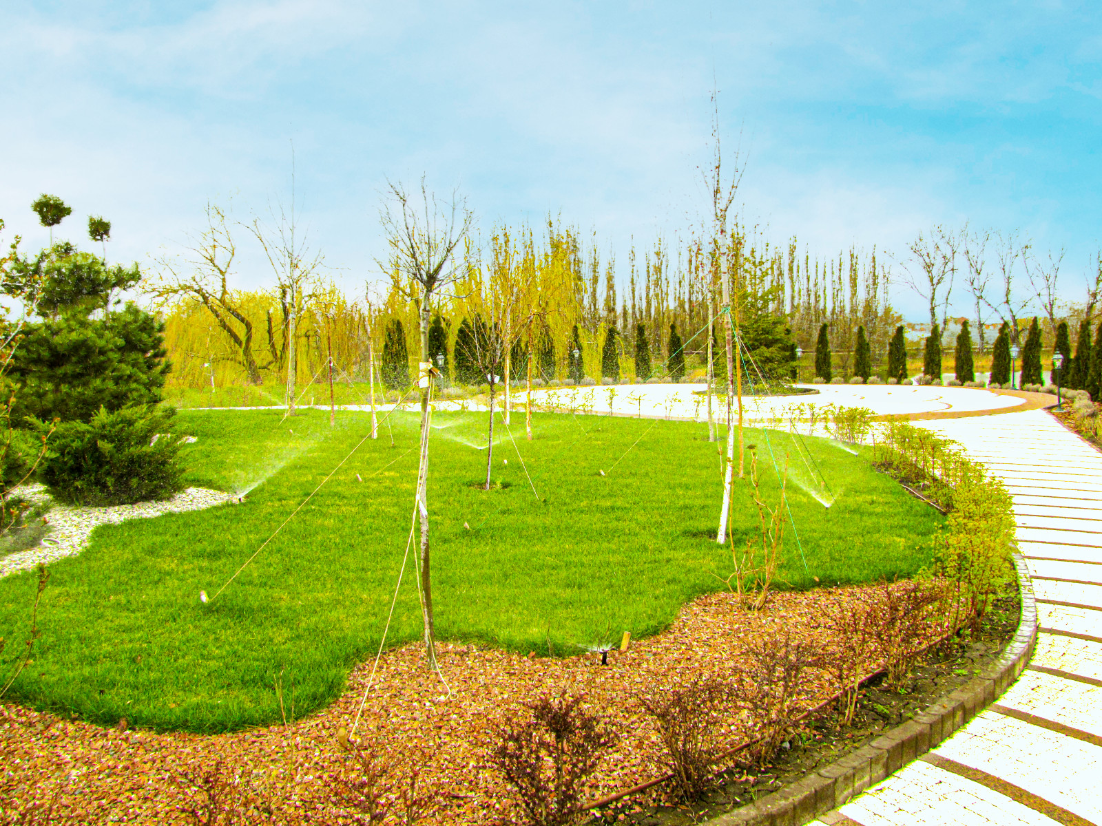 Обустройство участка в Приморском районе, Санкт-Петербурга