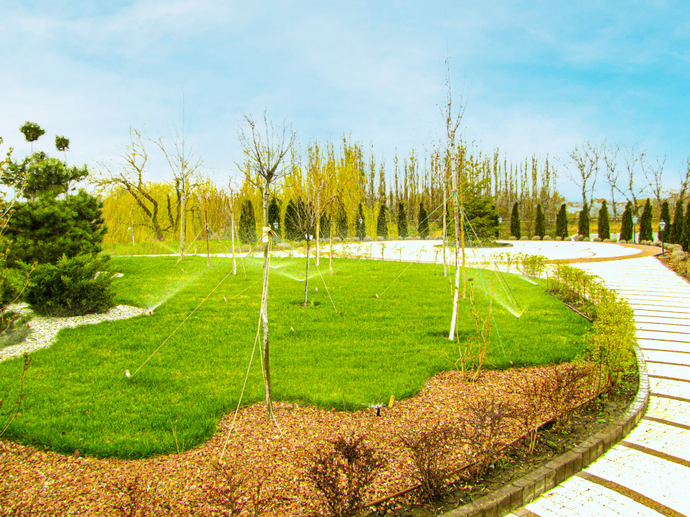 Обустройство участка в Приморском районе, Санкт-Петербурга