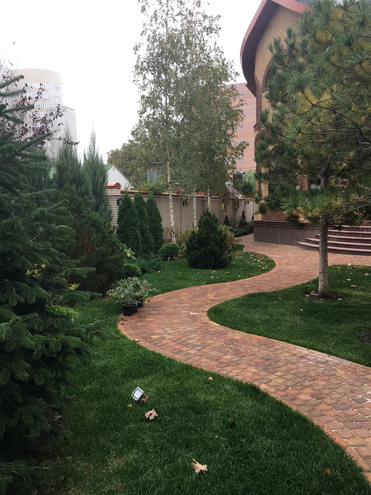 Сад в большом городе...