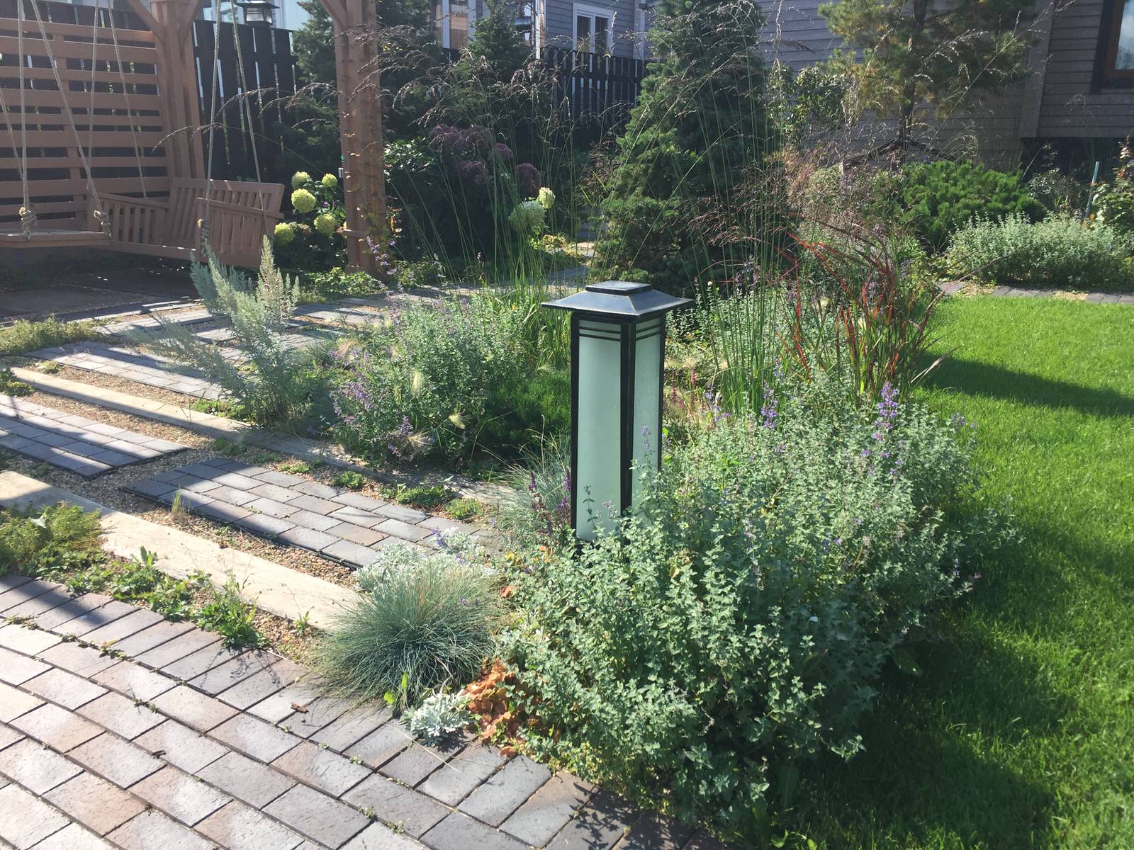 Александрово. Первый год жизни