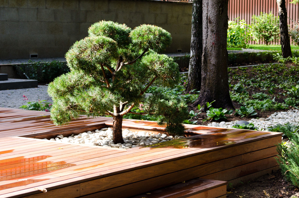 Глянцевый лес