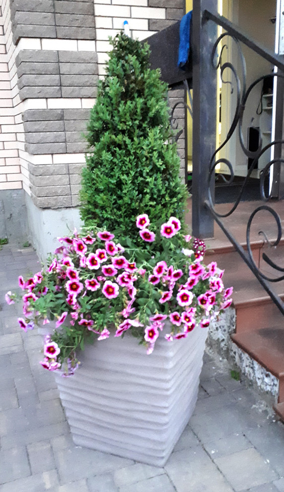 Контейнерное озеленение