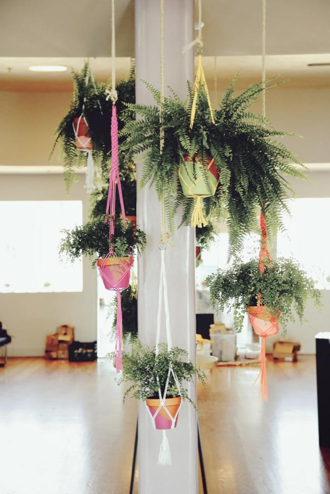 Счастливые комнатные растения — счастливые хозяева