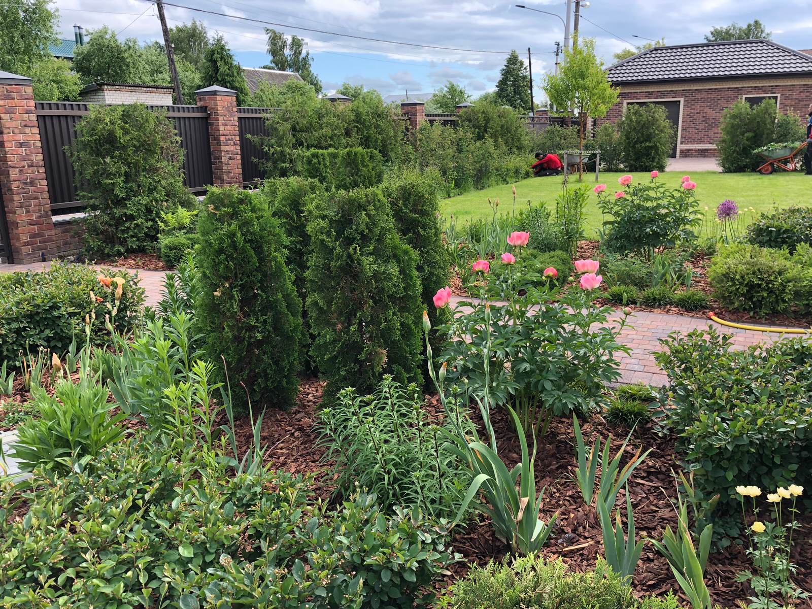 Равновесие