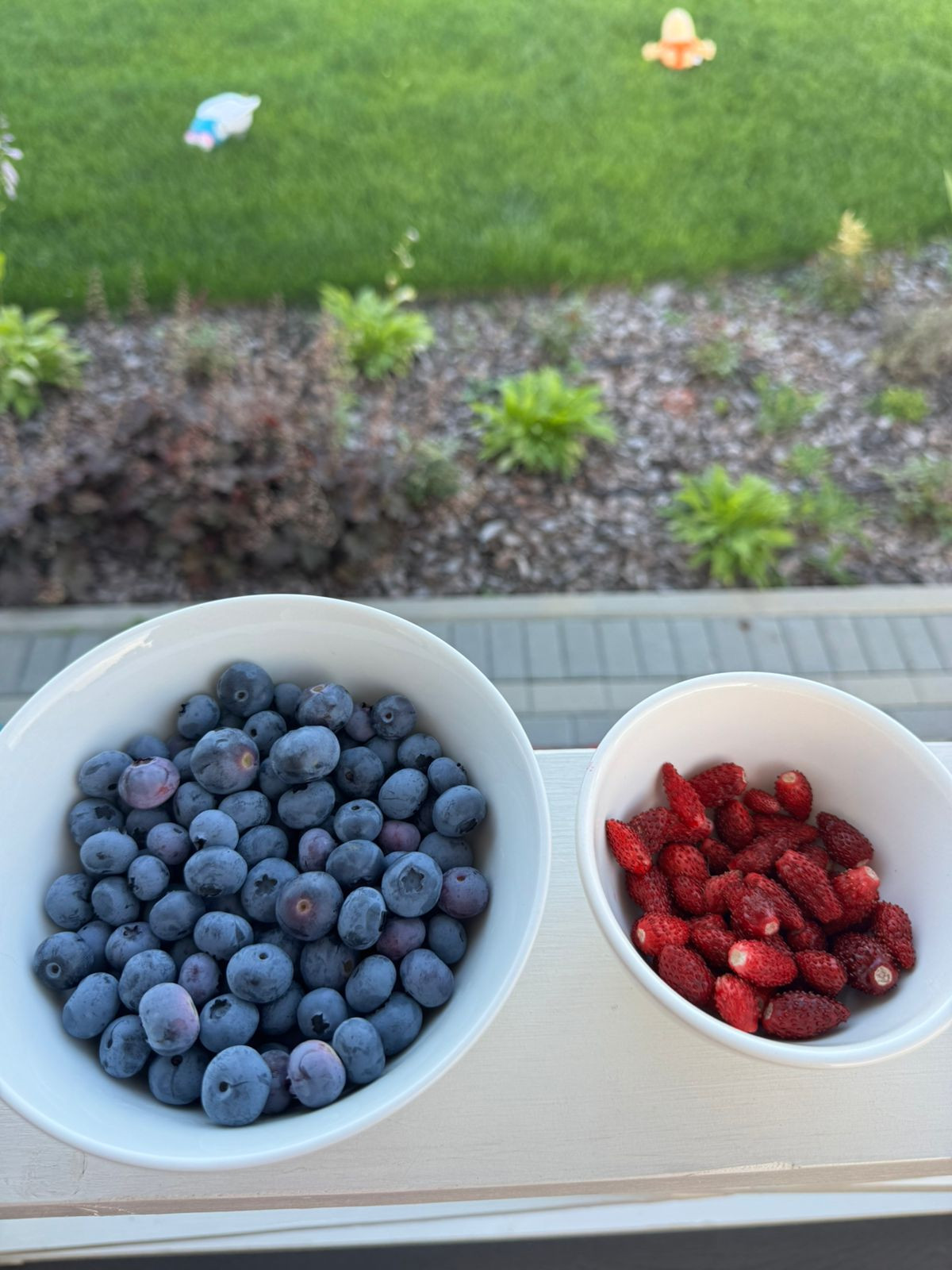 Обложка проекта: КП "КОМАРОВО"