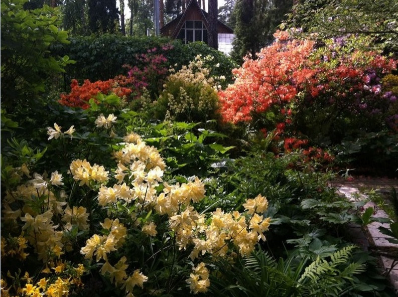 Участки разное