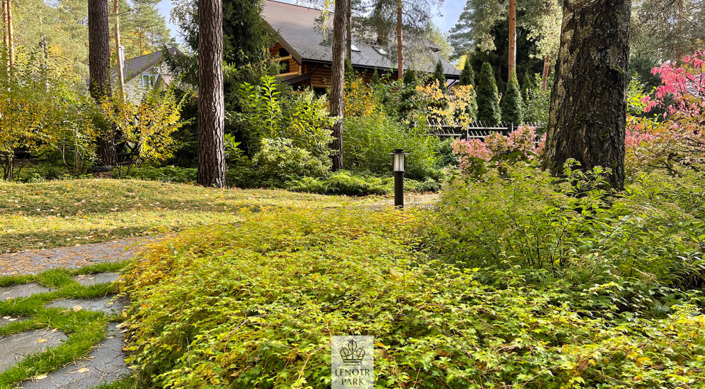 Заповедный бор