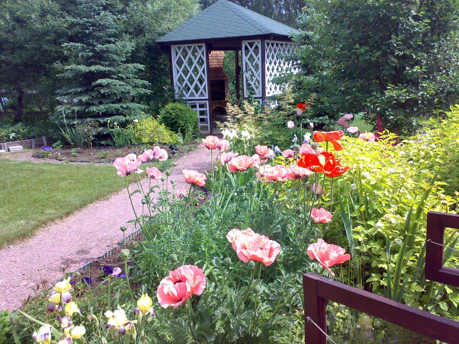 Обложка проекта: Семейный сад в сельском стиле