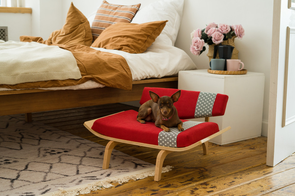 Дизайнерская мебель для собак и кошек