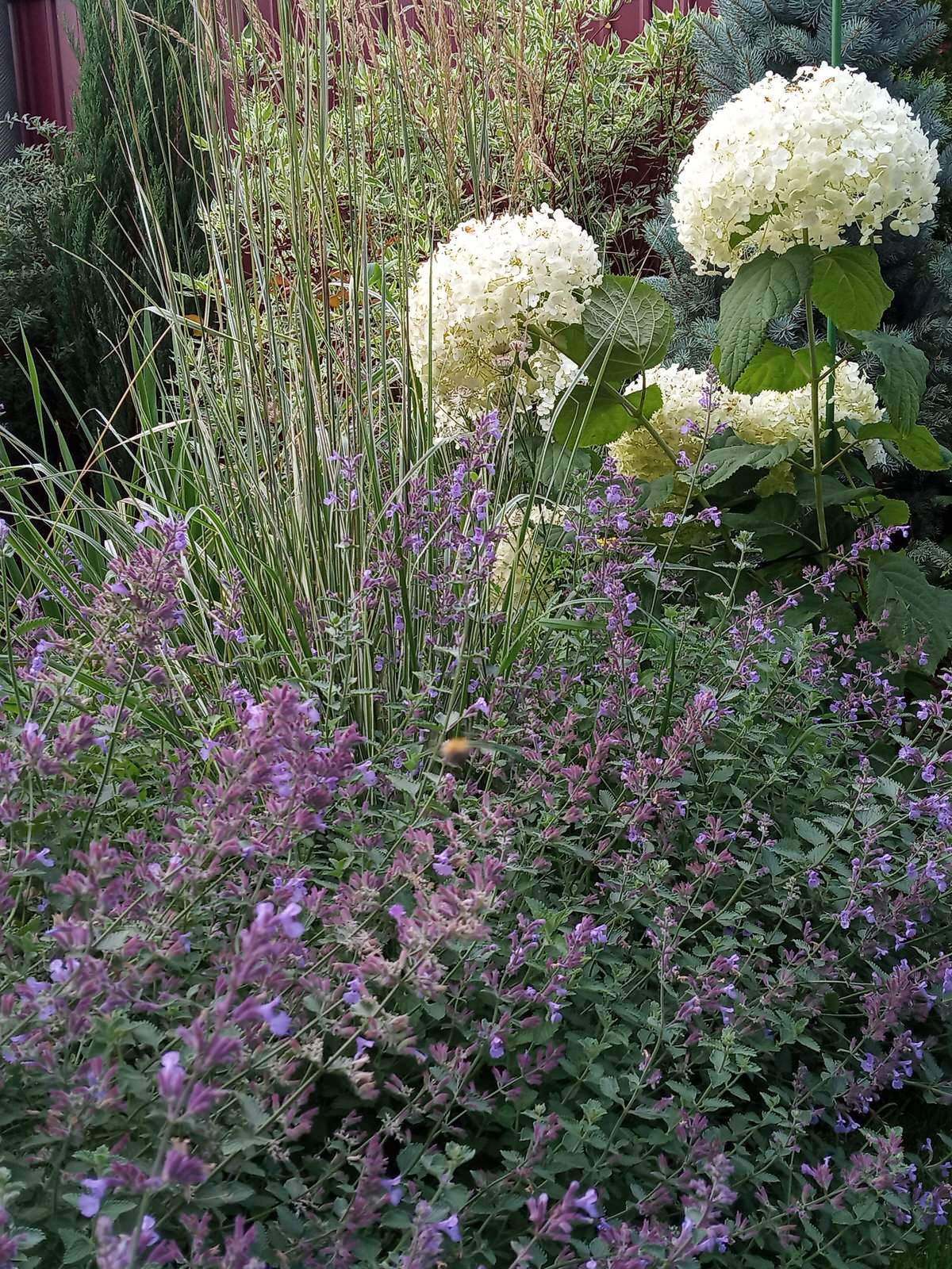 Обложка проекта: Патио в английском стиле