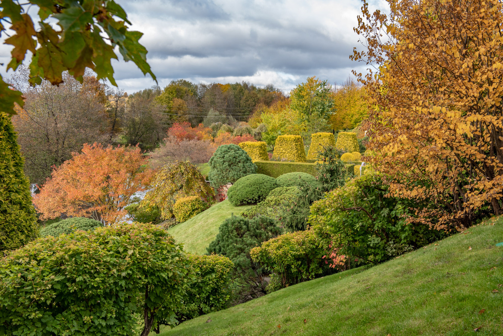 Ореховно. Музей-Усадьба.