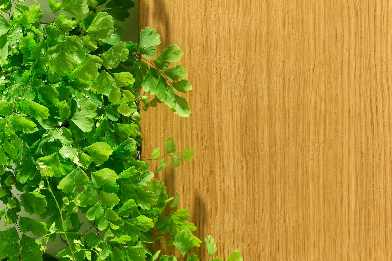 Квартира с горкой