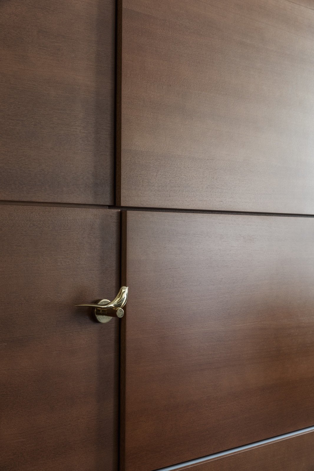 Созвездие Льва