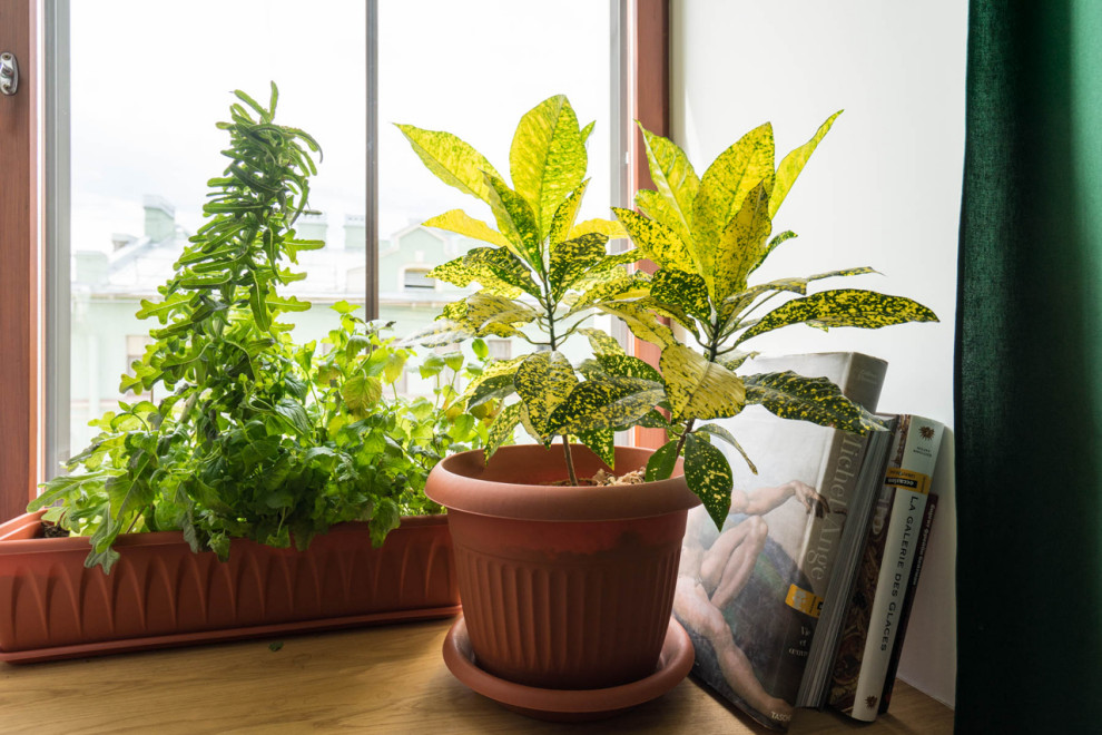 Квартира на Верейской улице