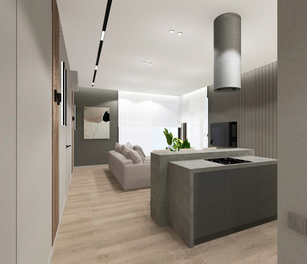 Обложка проекта: Квартира в современном стиле