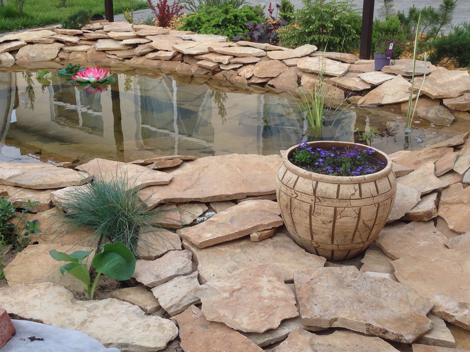 Обложка проекта: Садовый пруд в африканском стиле