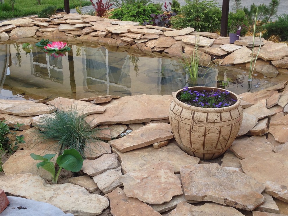 Обложка проекта: Садовый пруд в африканском стиле