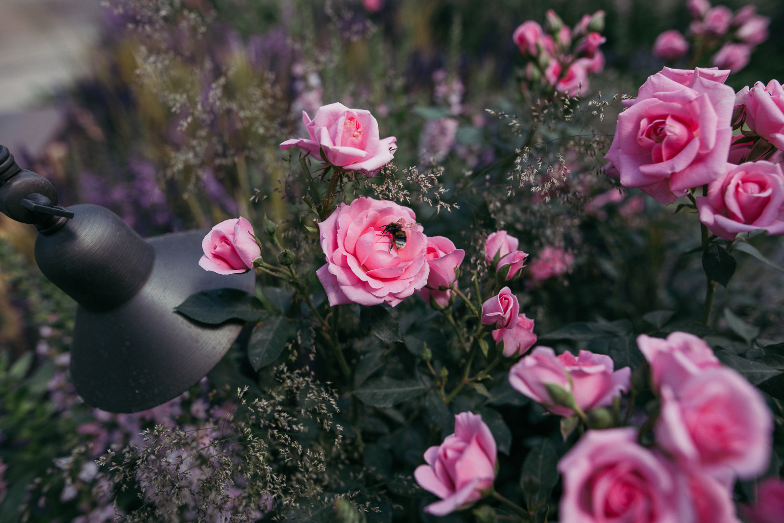 Grain de Perle (Зерно Жемчужины)