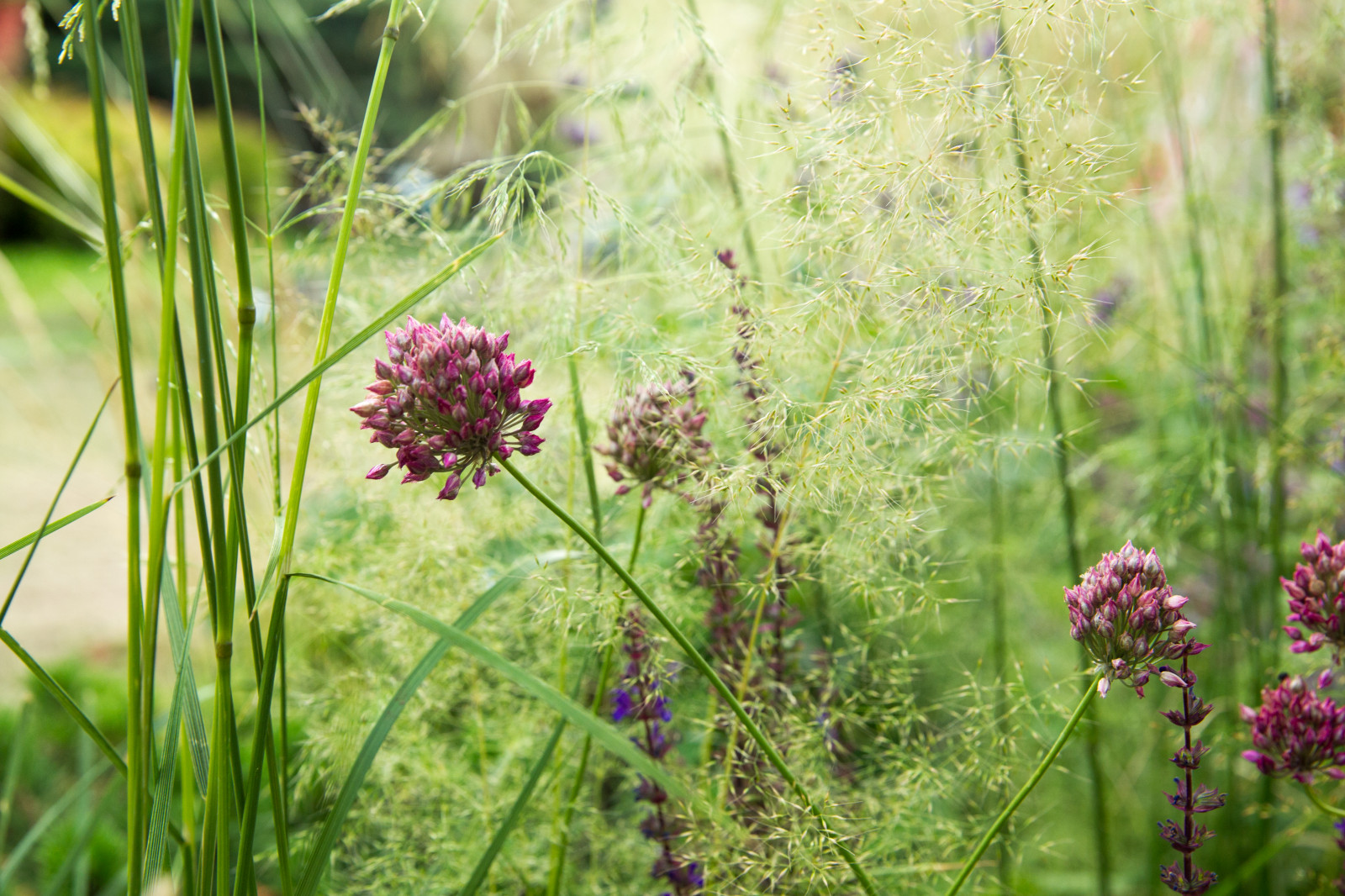 Обложка альбома: !