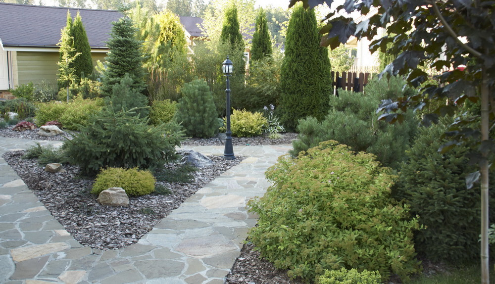 Витро Кантри