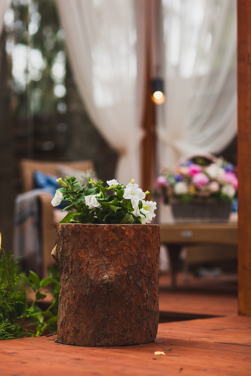 Беседка для Татьяны Лютаевой и Агнии Дисковските