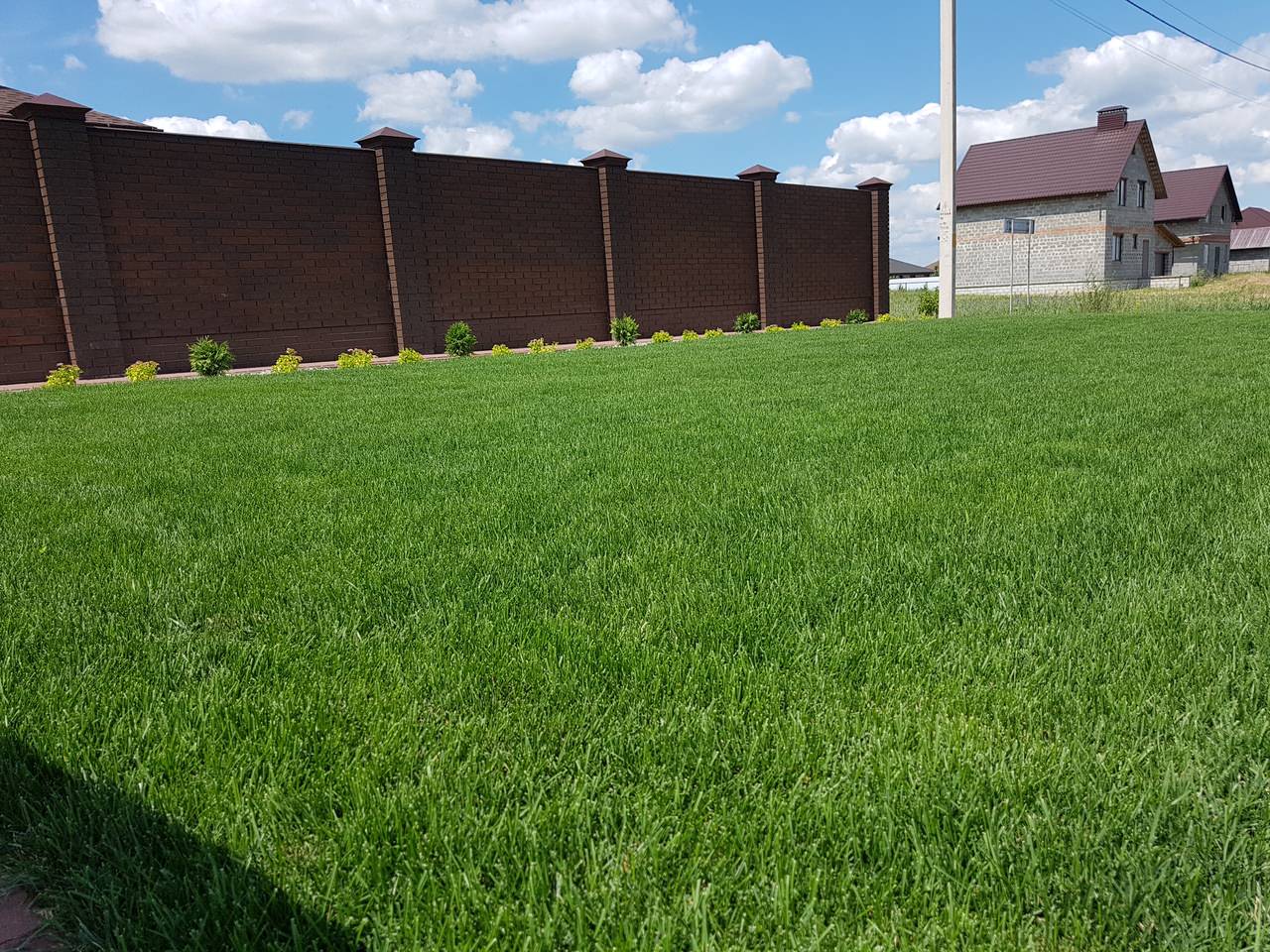 Обложка проекта: Полевая