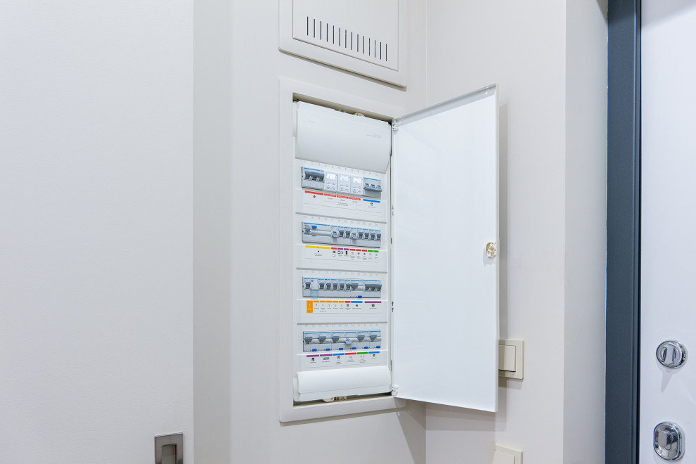 Тушино 2018 (2)