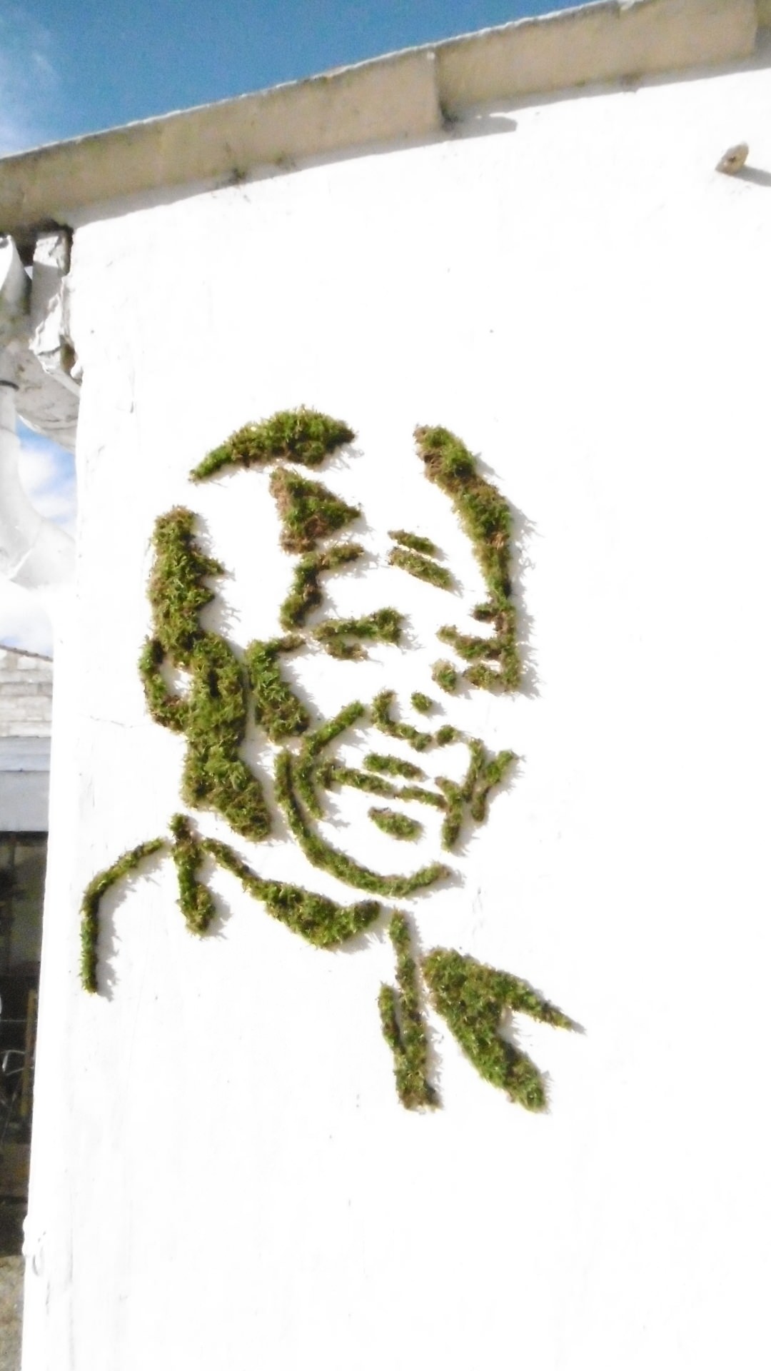 Вопрос: Есть ли альтернатива девичьему винограду на фасаде