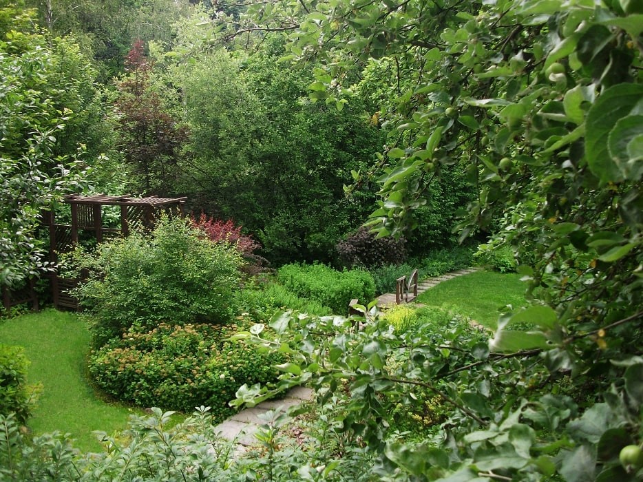 Минское шоссе. 22 сотки. Реконструкция сада.