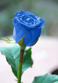 андрей чувильдеев