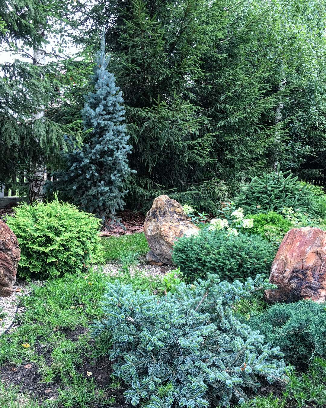 Сад на Новой Риге