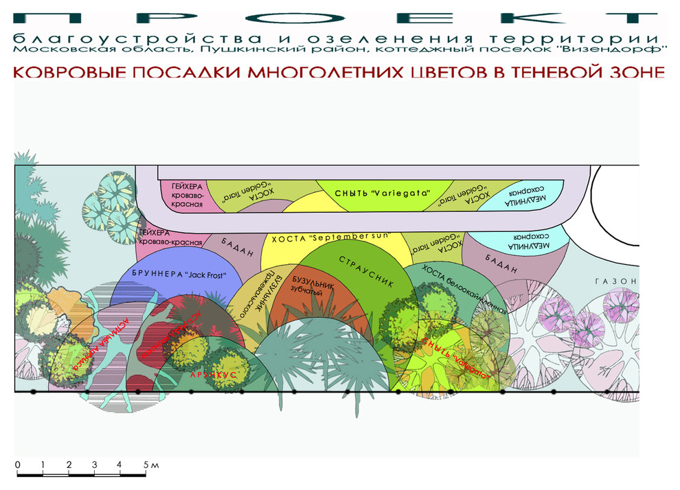 Проект дачного участка 15 соток - план цветника в тени.
