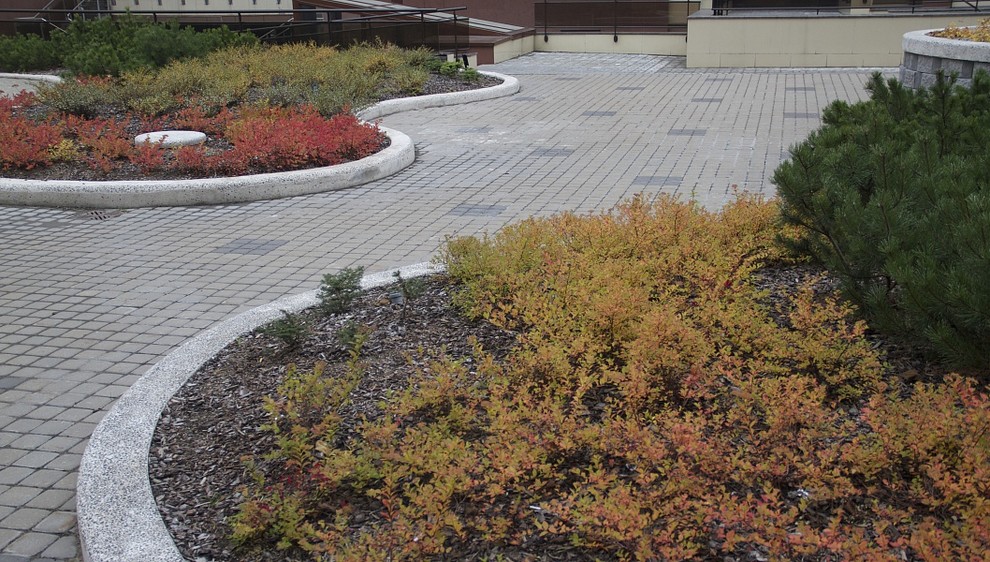 Сад на крыше паркинга